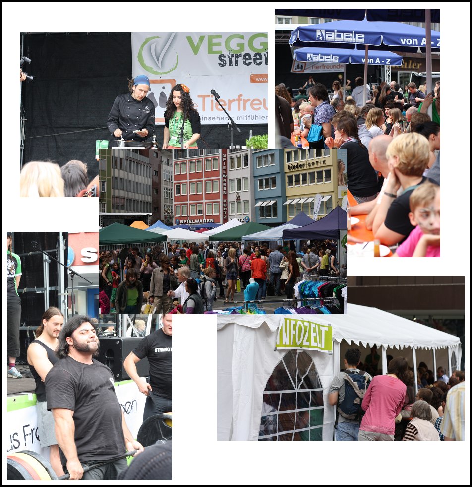 Veggie Street Day (VSD) Stuttgart 2012 – Ein Rückblick