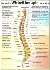 Mit der Wirbeltherapie nach Dorn werden auch wir Veganer ganzheitlich unterstützt