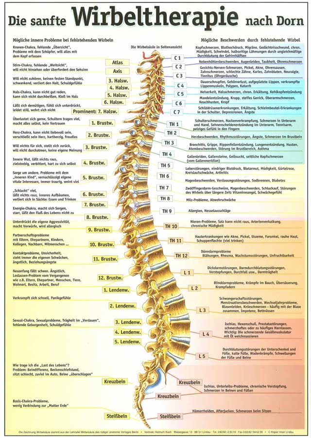 Sanfte Wirbeltherapie nach Dorn – zur Unterstützung des Immunsystems und der körperlichen Empfindung