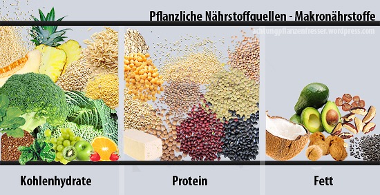 Pflanzliche Nährstoffquellen: Makronährstoffe