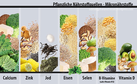 Pflanzliche Nährstoffquellen: Mikronährstoffe