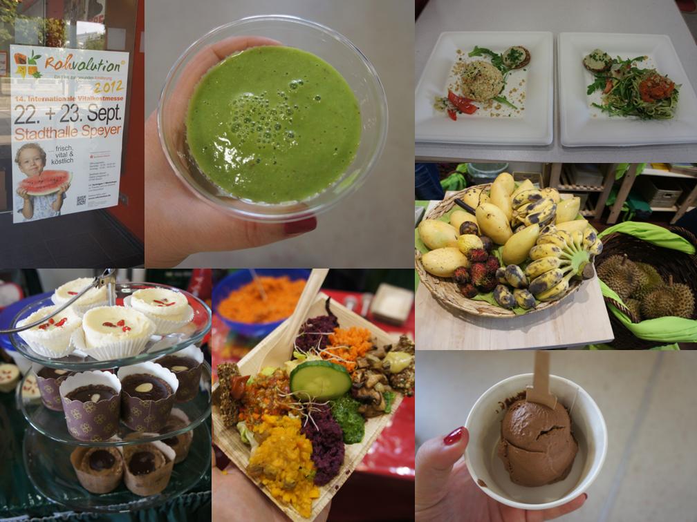 Ein Rückblick auf die Rohvolution 2012 in Speyer