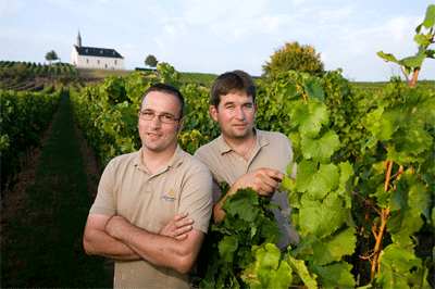 Vegane Weine beim Wein -und Sektgut Hemer in Worms-Abenheim