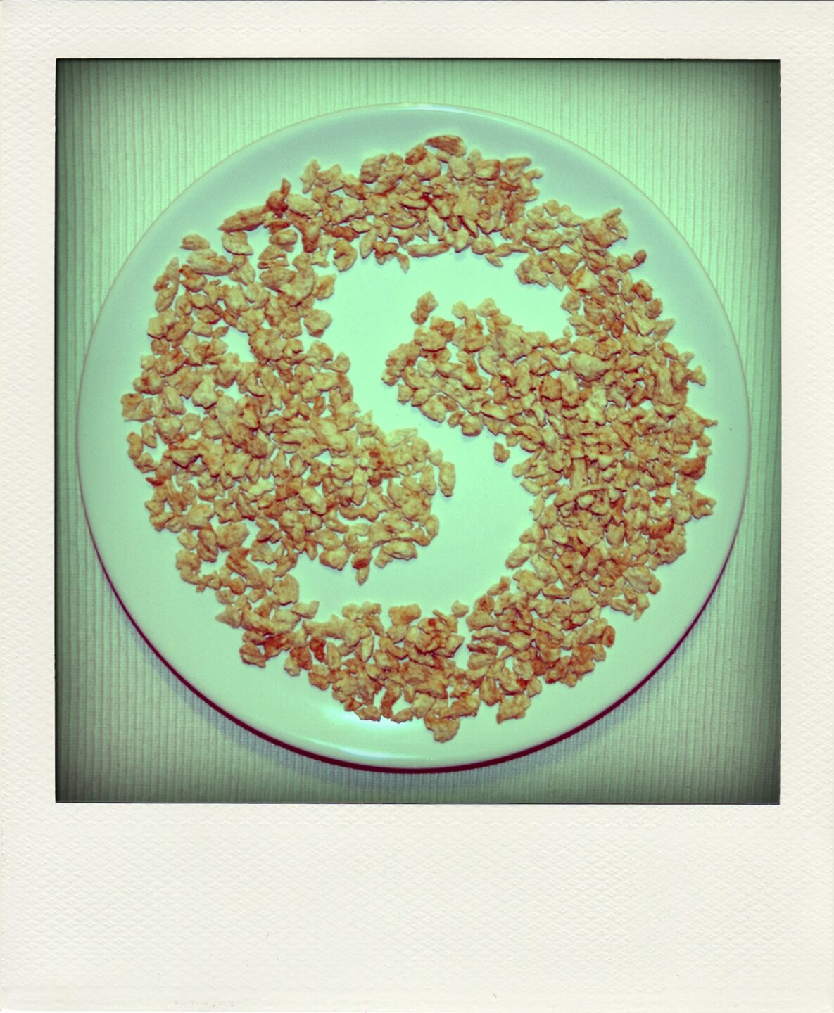 The Vegan ABC – S wie… sozial