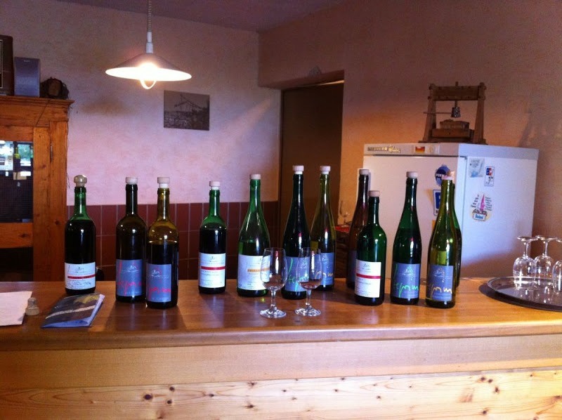 Veganer Wein aus der Pfalz vom Bioland-Weingut Isegrim-Hof