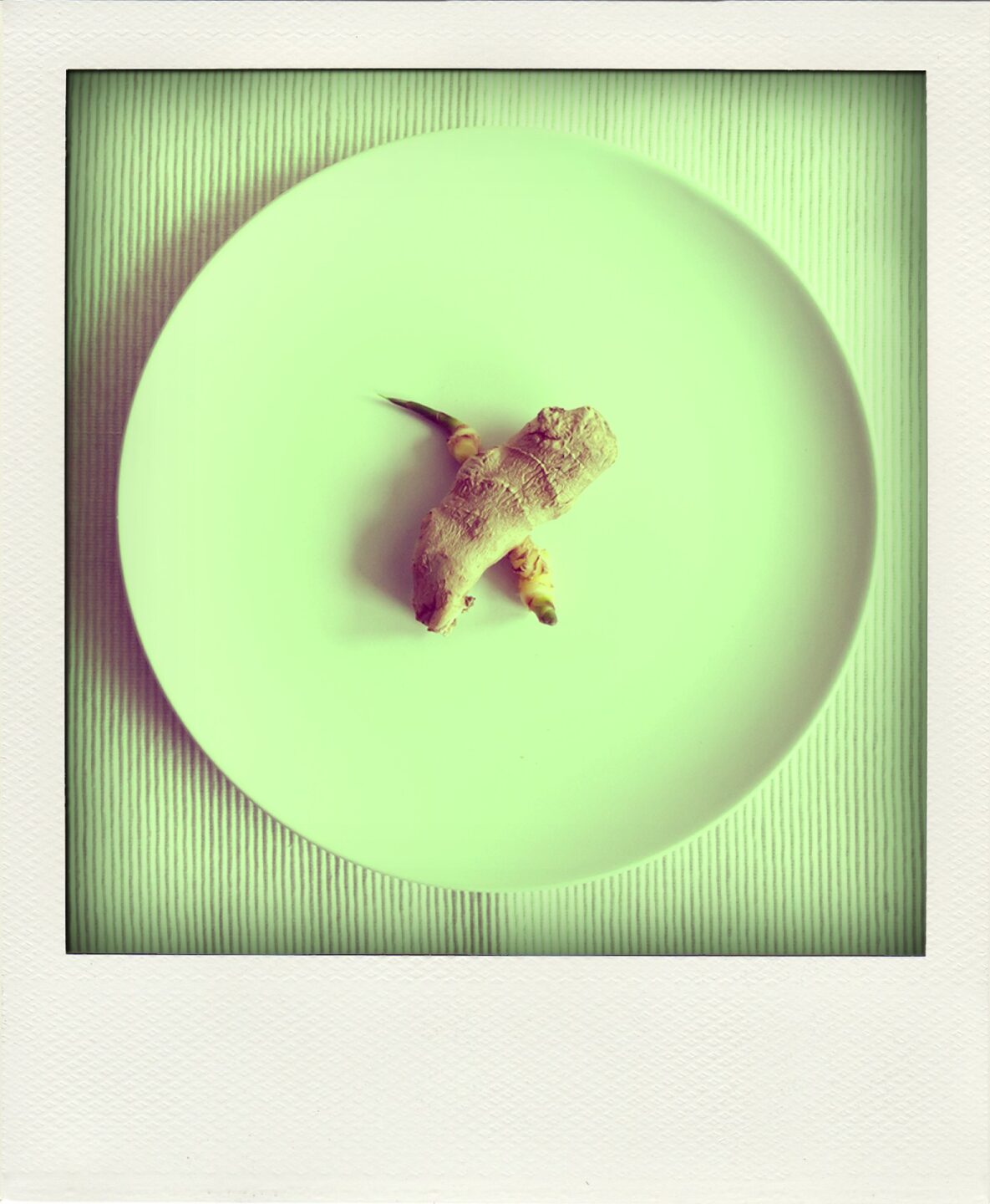 The Vegan ABC –  X wie… X-Chromosom