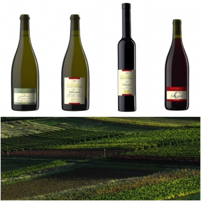 Veganer Wein in Demeter-Qualität vom Weingut im Zwölberich