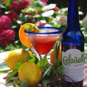 spirulipressebild001 web