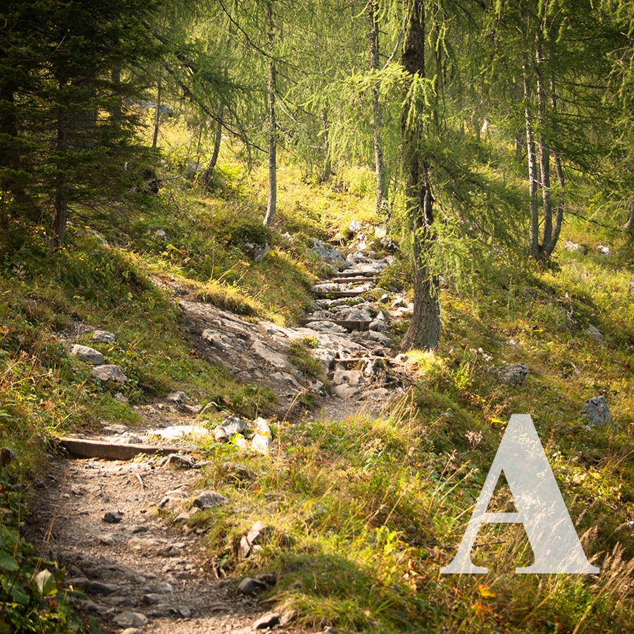 Veganes ABC: A wie… Anfang