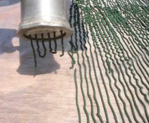 Superfoods: Spirulina von Grüne Alge