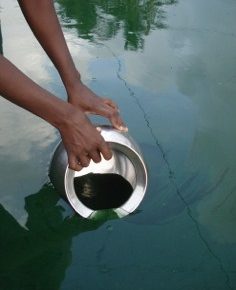 Superfoods: Spirulina von Grüne Alge