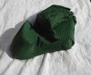 Superfoods: Spirulina von Grüne Alge