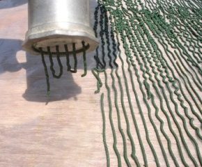 Superfoods: Spirulina von Grüne Alge