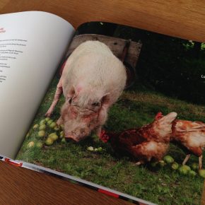 „Multikuhlti und vegan“ – Geschichten und Rezepte von Hof Butenland