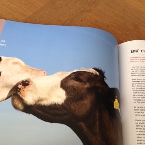 „Multikuhlti und vegan“ – Geschichten und Rezepte von Hof Butenland