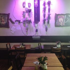 Fast Rabbit in Berlin – Dirty Rolls und mehr