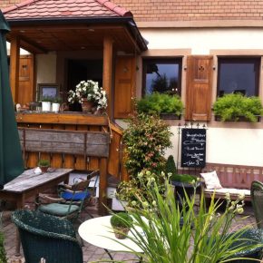 Das vegane Landcafé zur Sonne in Bammental