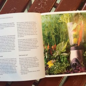 Buchtipp: 7 Tage grün von Franziska Schmid – inkl. Verlosung von 5 Exemplaren