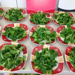 Vegane Kochkurse an der VHS