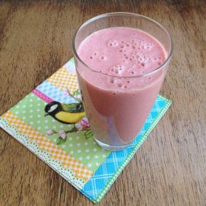 Buchvorstellung: Rohvegan von Claudia Renner