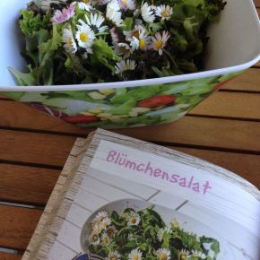 Buchvorstellung: Rohvegan von Claudia Renner