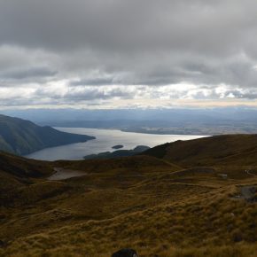 Vegan wandern in Neuseeland