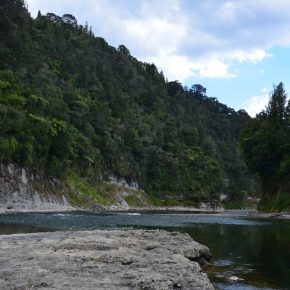 Vegan wandern in Neuseeland