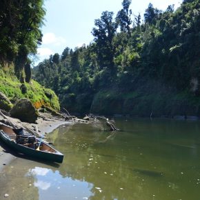 Vegan wandern in Neuseeland