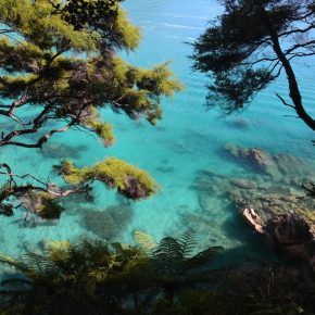 Vegan wandern in Neuseeland