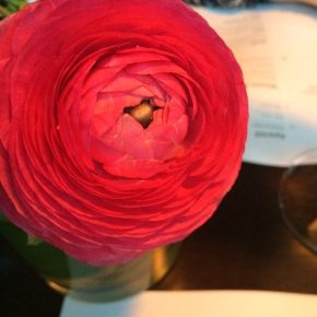 Margarete in Frankfurt: The Place to be an Sonntagen!