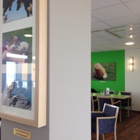 Gesund genießen im Café Vigan, Nordenham