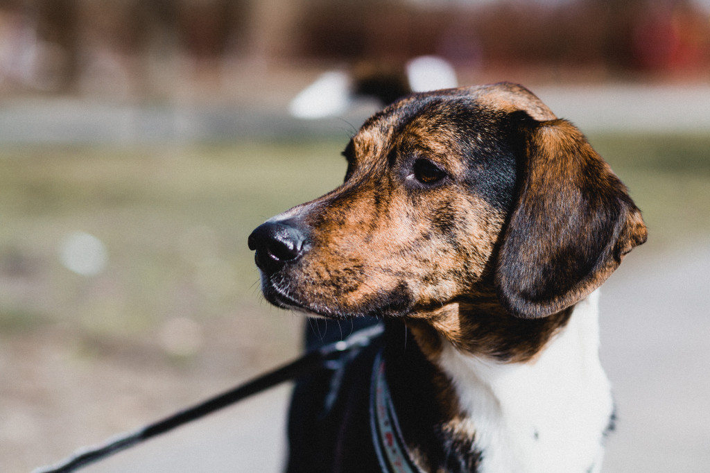 20130418_BL_CLAUDI_HEIDI_0021