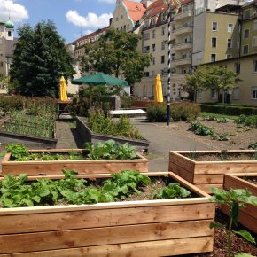 Kochen nach deiner Natur – mit Sebastian Copien in München