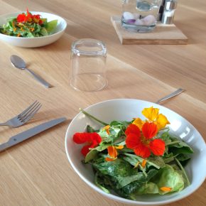 Kochen nach deiner Natur – mit Sebastian Copien in München