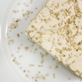 Tofu Tussis aus Berlin