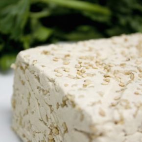 Tofu Tussis aus Berlin