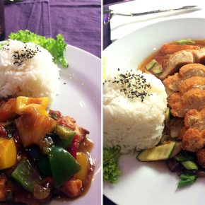 Feinstes asiatisch-veganes Essen: Vlaire Uisine in Wien