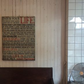 The vegan choice – Berlins erste vegane Eisdiele