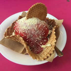 The vegan choice – Berlins erste vegane Eisdiele