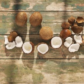 Kokosnuss in allen Varianten von Kulau