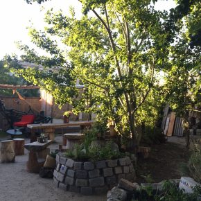 Wilder Hase – Deutschlands 1. veganer Biergarten