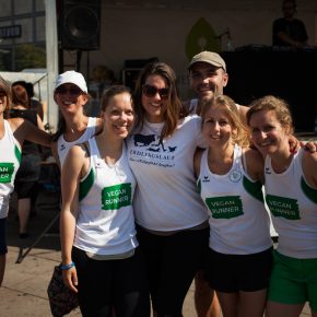 Erdlingslauf 2015 – Vom Anfang bis zum Ziel