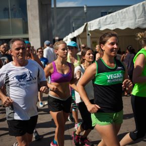 Foto: Timo Stammberger