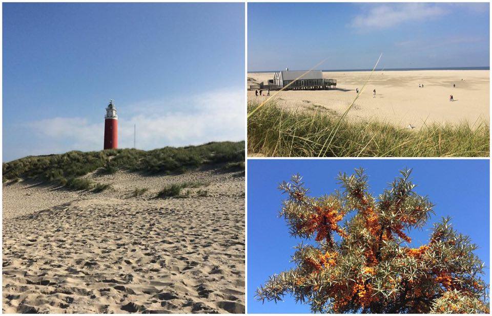 Texel – ein kleines Naturparadies inmitten der Nordsee