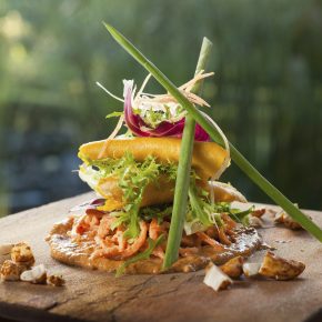 Vegan Welcome – Hier sind Veganer willkommen