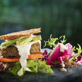 Vegan Welcome – Hier sind Veganer willkommen