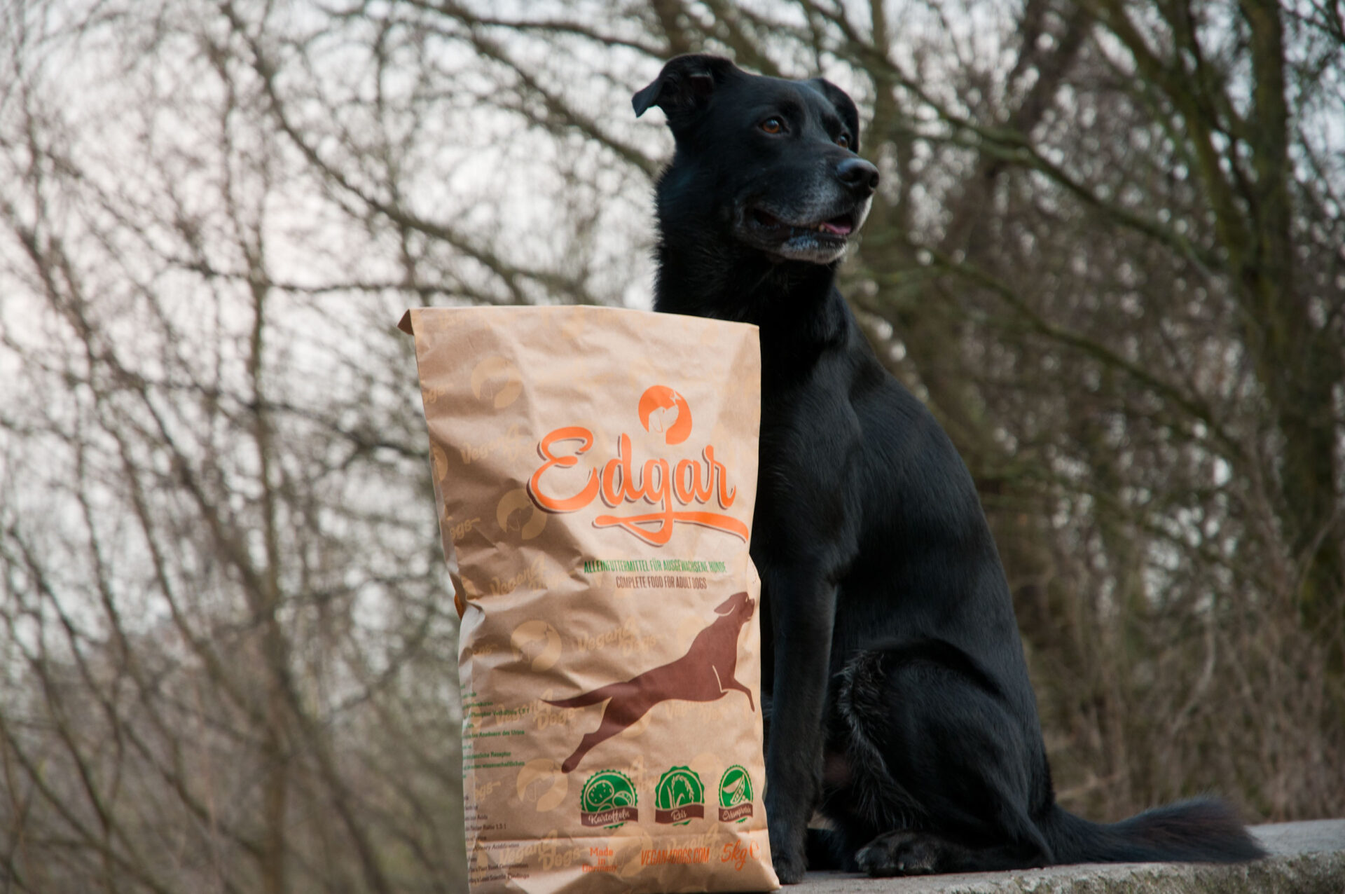 „Edgar“: veganes Trockenfutter für Hunde