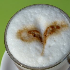 Molly & Alf – Flensburgs erstes veganes Café