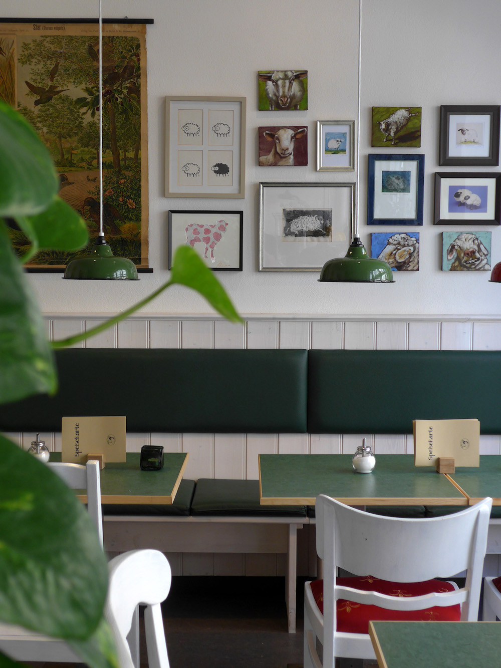 Molly & Alf – Flensburgs erstes veganes Café