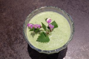 Vegan Reisen in Bad Tölz beim „Tölzer Veg“ + Gewinnspiel